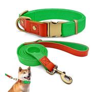 Ensemble Collier et Laisse Chien L 38-58cm, Nylon Cuir Vert | Laisse 152cm, Boucle Métal Vintage, Attache 360°, Pour Grand Chien, Durable Promenade & Éducation