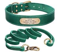 Ensemble collier et laisse en cuir véritable gravé sur mesure pour animal de compagnie Ensemble collier et laisse de dressage pour chien Pitbull, Chihuahua, Carlin, Labrador, vert, XXS
