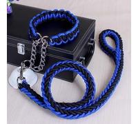 Ensemble collier et laisse pour chien - Corde à double brin faite à la main avec boucle en P en métal - Corde d'escalade durable pour animal domestique - Accessoire idéal pour chien