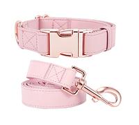 Ensemble Collier et Laisse pour Chien. Cuir Vegan Doux et Facile à Nettoyer avec Boucle en métal Or Rose pour Chiens de Petite, Moyenne et Grande Taille (Rose, Taille S : 31 à 42,9 cm)