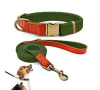 Ensemble Collier et Laisse pour Chien M, Nylon Robuste avec Détails en Cuir, Collier Réglable pour Chiens Moyens, Idéal pour Promenade Quotidienne et Éducation, Boucle Métal Vintage, Vert Militaire