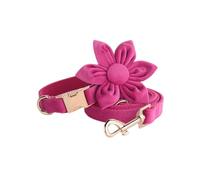 Ensemble collier et laisse pour chiens de petite taille - Collier et laisse tendance en velours avec fleur - Collier fantaisie réglable pour chiens de taille moyenne et grande