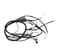 Ensemble Complet De Câbles De Câblage électrique Ligne De Fil Compatible with Automotive Motorcycle Parts Scooter Quad Car Londing for Part Number 8K1927225B 1G724-97012