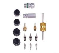 Ensemble complet d'outils de climatisation comprenant des noyaux de valve, des valves de service et des couvercles d'étanchéité adaptés pour une utilisation sur véhicule