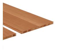 Ensemble d’échantillons - Profil STS3-THERMO-TREMBLE 18x185, longueur 240 mm (1 pièce)