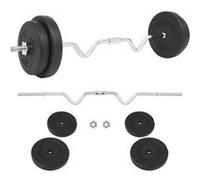 vidaXL Ensemble d'Haltères 30 kg Fitness Musculation Poids Barres Disques 91399