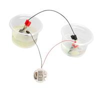 Ensemble d ' Horloge éducative à Eau salée, Mains sur Les activités, équipement de Laboratoire, Jouet pour, Exploration du Concept d ' électricité, Ensemble d ' expérimentation Scientifique