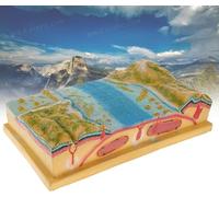 Ensemble d'affichage de modèles de tectonique des plaques 3D, modèle de démonstration d'enseignement la géographie, aides pédagogiques for l'école de géologie scientifique, modèle topographie