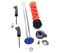 Rockshox Crown Rl 130-150 Mm Sektor A2 2017+/recon Rl A1-a2 2018-2020 Cartridge Multicolore