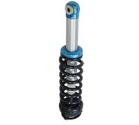 Ensemble D'amortisseurs Avant Pour Ford, Pour Raptor STX 2010 - 2014, Jambe De Suspension, Accessoires Voiture BL3Z-18124-H Réduire l'usure des pneus(FRONT LEFT)