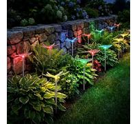 Ensemble De 12 Lampes Solaires À LED RGB Design Libellule Papillon