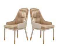 Ensemble de 2 chaises de Salle à Manger Modernes du Milieu du siècle, Pieds en métal Robustes avec accoudoirs, Petit Espace rembourré pour Un séjour Confortable (B)