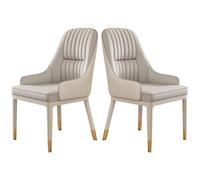Ensemble de 2 chaises de Salle à Manger Modernes du Milieu du siècle, Pieds en métal Robustes avec accoudoirs, Petit Espace rembourré pour Un séjour Confortable (C)