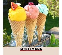 Ensemble de 2 Cuillères à glace avec fonction éjection 21 cm Basic Fackelmann