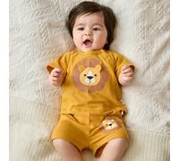 Ensemble de 2 pièces pour nouveau-né garçon/fille composé d'un pull à col ras du cou à manches courtes en tricot doux avec motif de lion de bande dessinée et d'un short à taille élastique 6-9M,0-1M,1-