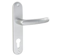 Ensemble de 2 poignées à levier sur plaque arrière clé I Vachette Budget EA 165, argent poli