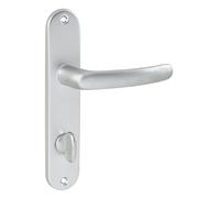 Ensemble de 2 poignées à levier sur plaque Vachette Budget EA 165, argent poli