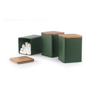 Ensemble de 3 boîtes Salter Toronto - Boîtes de Rangement pour Thé, Café et Sucre, Couvercles en Bois d'Acacia, Faciles à Nettoyer, Jars Gagne-Place, Fraîcheur Durable, Vert