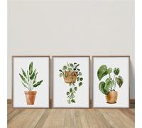 Ensemble de 3-Décoration Murale : Affiches Tableaux sur Toile Impressions Abstraites Nordiques Représentant Des Plantes Vertes en Pots pour la Cuisine le Bureau Ou la Maison-30*50cm (Non encadré)