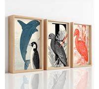 Ensemble de 3 Décorations Murales Vintage Impression, Impression HD pour Salon Chambre à Coucher, Posters Oiseau Pingouin Dauphin Histoire Naturelle Animal Sans Cadre, Tableau Mural, 40 x 50 cm