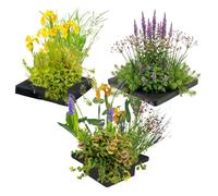 Ensemble de 3 îlots pour plantes d'étang - 12 Plantes aquatiques