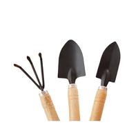 Ensemble de 3 Mini-Outils Jardinage en Acier Inoxydable, truelle à Main, râteau, Pelle for Pots Fleurs, Plantes succulentes, Petit Espace