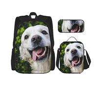 Ensemble de 3 sacs à dos d'Halloween en forme de citrouille, sac à bandoulière réglable avec boîte à déjeuner et trousse à crayons, Drôle Golden Retriever, Taille unique, Sac à dos daypack