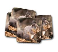 Ensemble de 4 - Adorable écureuil Dessous de Verre - Wildlife Woodland animaux de la forêt Maman Cadeau # 14267