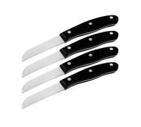 Ensemble de 4 Couteaux à légumes 20 cm Fit Nirosta