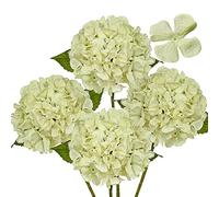 Ensemble de 4 Hortensias Artificiels en Ivoire - Diamètre 19 cm - Fleurs Comme Vraies pour Bouquet de Mariage, Maison, Bureau, Hôtel, Décoration de Fête, Centre de Table