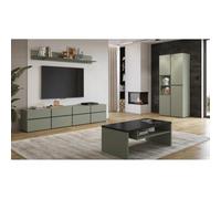 Ensemble de 4 Meubles Collection Havana Coloris Vert Sauge. Meuble TV XL, vitrine, Table Basse, étagère