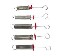 Ensemble de 5 pièces d'expérimentation de ressort pour la loi de Hooke facilite l'expérience des principes physiques de la culture Ensemble facile à assembler