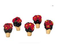Ensemble de 5 poinsettias miniatures de la collection Lemax Village 34970