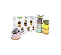 Ensemble de 6 Mini Pots de Fleurs en Céramique Multicolore avec Supports Bambou - Idéal Succulentes, Déco Maison & Bureau
