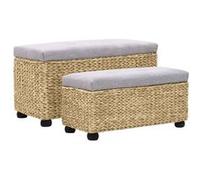 vidaXL Ensemble de banc Jacinthe d'eau - Lot de 2 - Gris