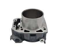 Ensemble de bloc-cylindres arrière compatible avec le moteur QJ SFA 1000 139016770030