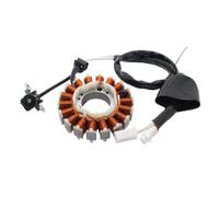 Ensemble de bobine de Stator adapté for Y YP250R XM 250 2007-2016 VP250 XC 250 2007-2012