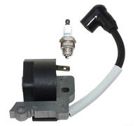 Ensemble de bobines d'allumage et de couvercle pour modèles Tecumseh TC200 TC300 TCH200 TCH300 TM049XA Convient aux petits moteurs utilisés dans les machines d'entretien de cour
