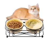Ensemble de bol pour animaux en céramique | Alimentateur de chat surélevé