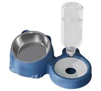 Ensemble de bols de nourriture et d'eau pour chat,Bols de nourriture et d'eau pour chat | Bol de chat incliné pour chats vivant à la maison | Bol de chat surélevé, bols inclinés en acier inoss