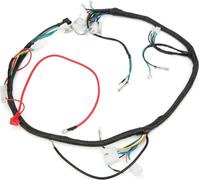Ensemble de câblage moteur - Unité CDI - Bouchon magnétique pour GY6 125cc 150cc 200cc 250cc Quad Bike ATV Go Kart