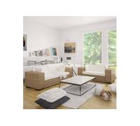 Vidaxl Ensemble De Canapés À 2 Et À 3 Places Rotin Véritable