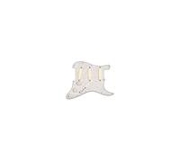 Ensemble De Capteurs EMG Pro Series DG20 David Gilmour Pickguard