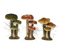 Ensemble de champignons - EDM - 14 x 18 x 26 cm - Mousse - Couleurs assorties - Décoration intérieure