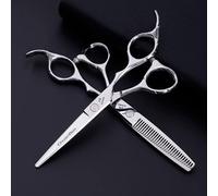 Ensemble de Ciseaux de Coiffure Professionnels de 6 Pouces - Outils de Coupe pour Enseignants de Hair Style Division