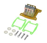 Ensemble de clapets d'admission de carburateur for Yamaha for VTT for BLASTER 200 1988-2006 YZ80 1987-1992