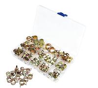 Ensemble de Colliers de Serrage | 100 Pièces Prévention des Fuites - Petit Ensemble de Colliers de Serrage avec Coffret de Rangement - Pour Réparation de Moteur, Entretien de Bateau Plomberie Tondeuse