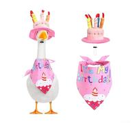 Ensemble de costume d'oie en porcelaine pour décoration d'extérieur avec chapeau et bandana pour oie de ciment et pelouse, tissu rose, décoration de jardin pour fêtes d'anniversaire et fêtes