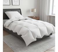Ensemble de couette 90 % en duvet d’oie FULDA 2 pc Blanc canard literie vidaXL v