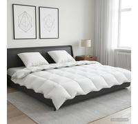 Ensemble de couette 90 % en duvet d’oie FULDA 3 pièces Blanc canard vidaXL vidaX